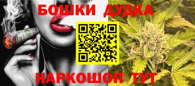 МДПВ Новокубанск