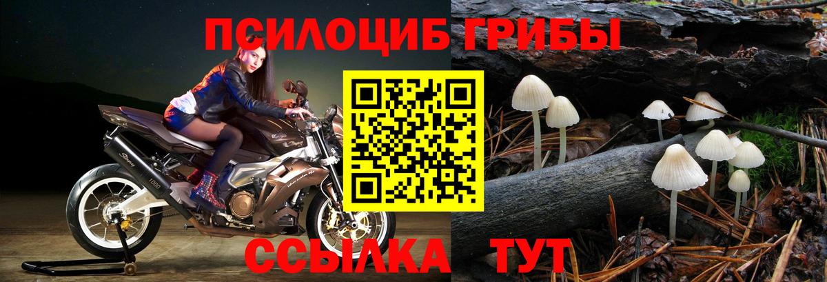 Ржев  Псилоцибиновые грибы мухоморы  Псилоцибиновые грибы Magic Shrooms  купить наркотики цена  Вход с VPN 