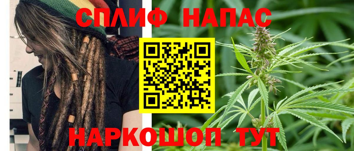 Канабис конопля Ржев